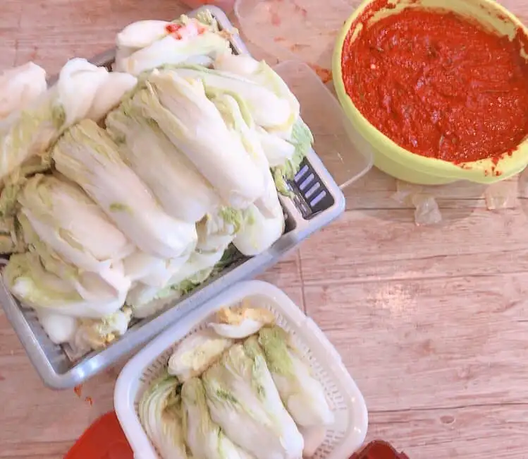 189590697_4015575858522030_4709331773773105559_n.jpg?type=w1