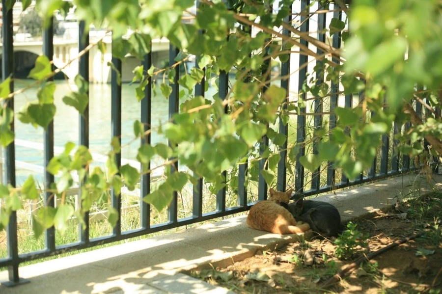 10457724_725214814224834_1585194655930619359_o.jpg?type=w1