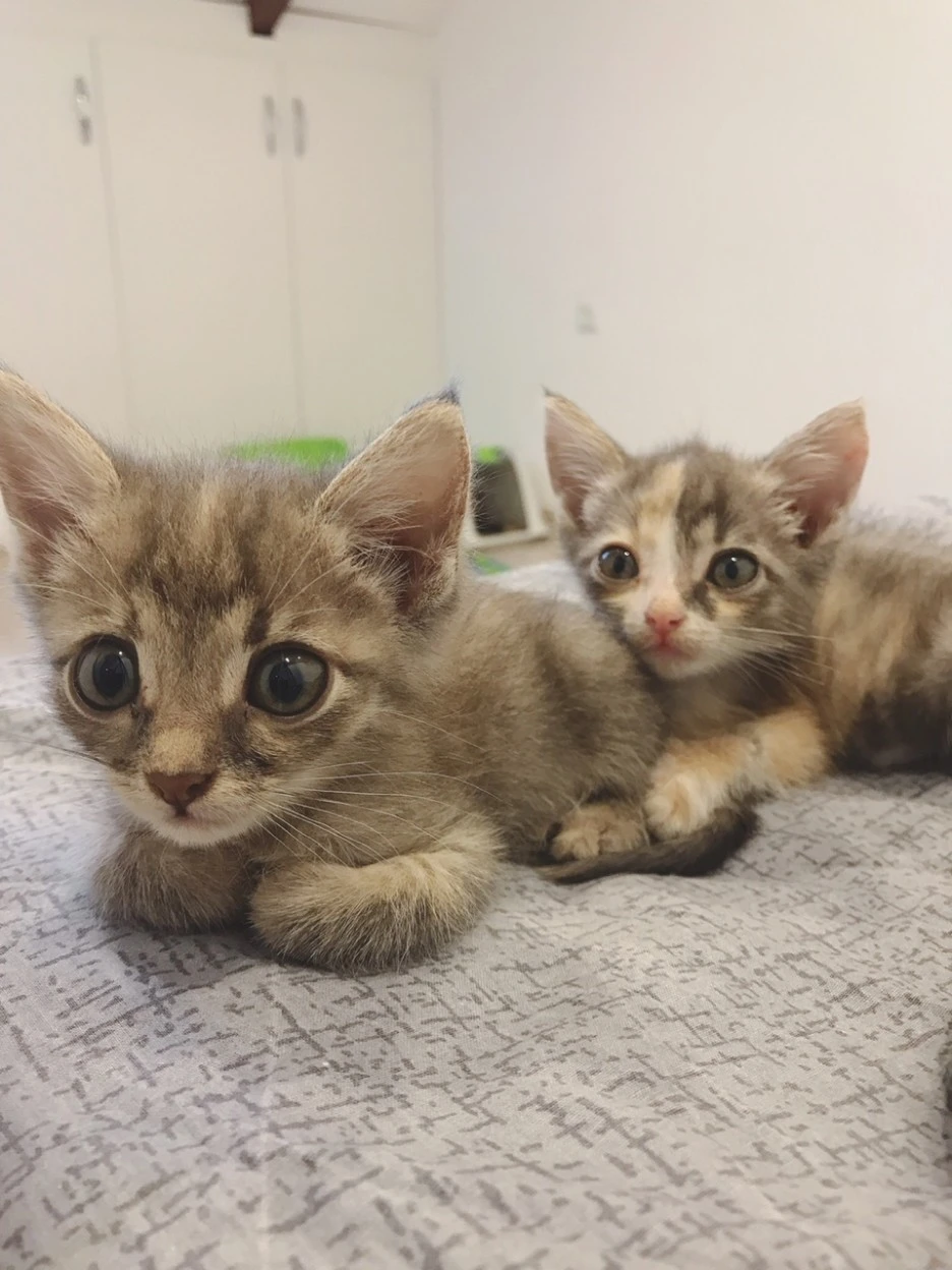 KakaoTalk_20211006_193620797_02.jpg?type=w1