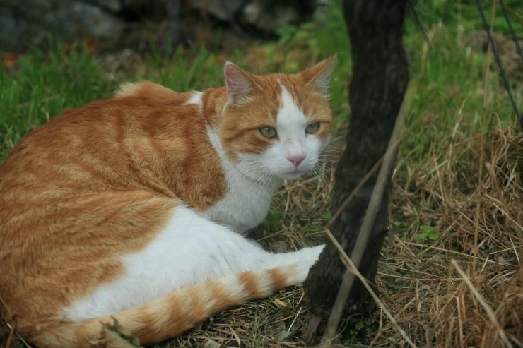 IMG_0106.JPG?type=w1