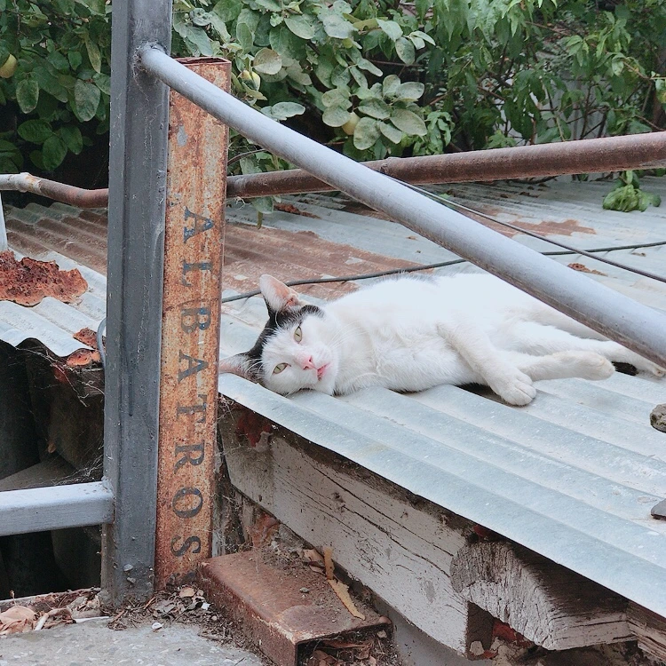 KakaoTalk_20211006_194410917_01.jpg?type=w1