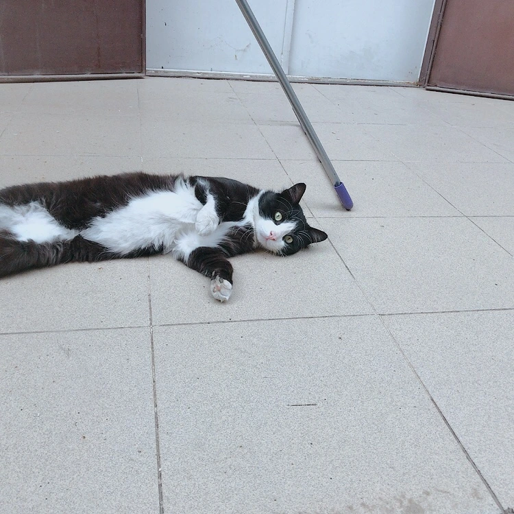 KakaoTalk_20211006_194410917.jpg?type=w1