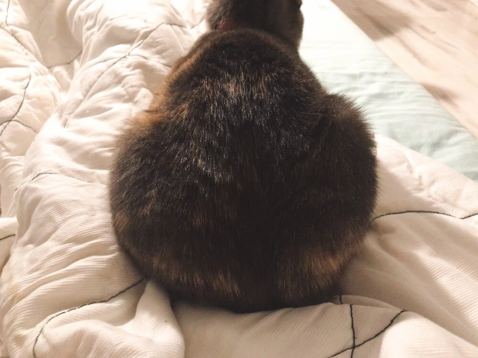 KakaoTalk_20211004_184700305.jpg?type=w1