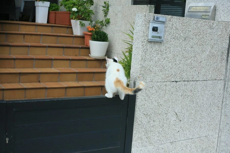 IMG_1223.JPG?type=w1