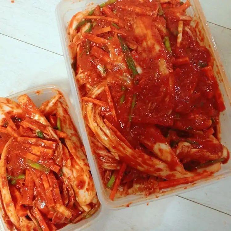 234109939_4488382014529396_5499011226075349626_n.jpg?type=w1