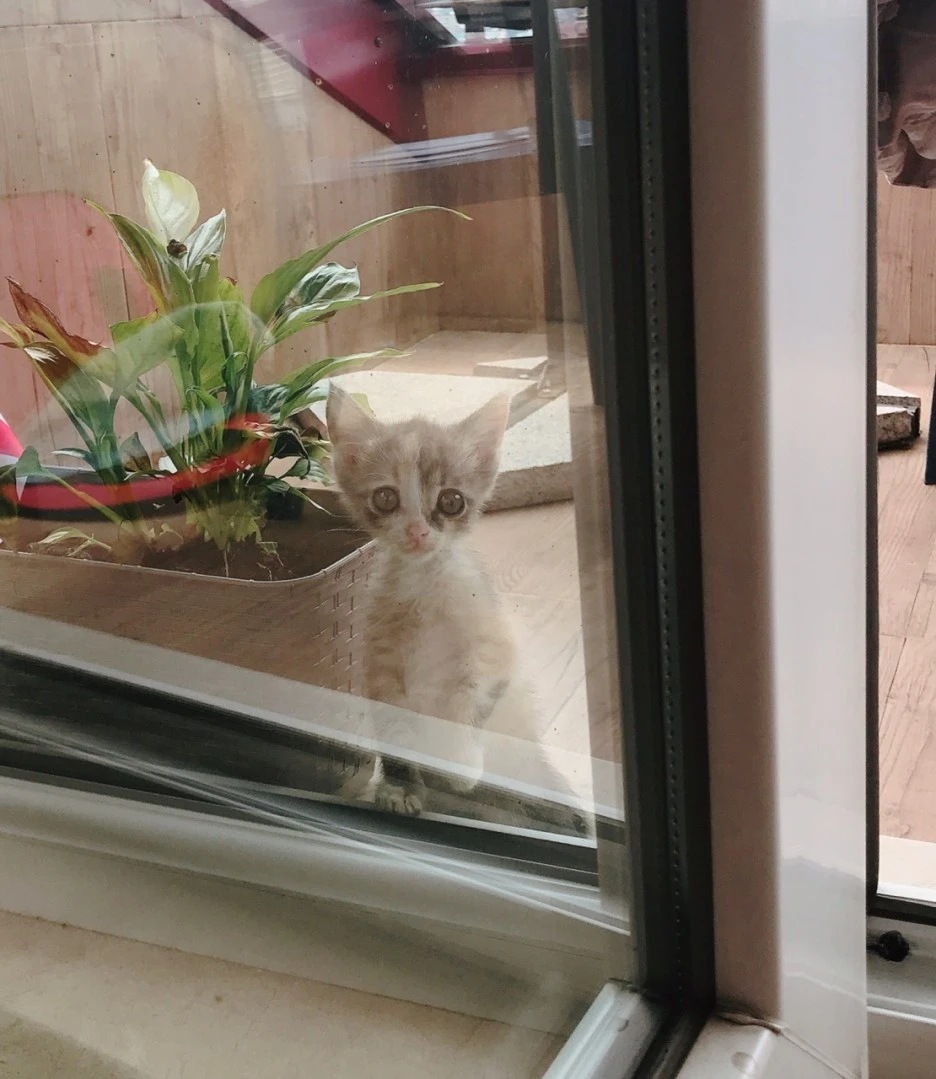 KakaoTalk_20211006_193620797_14.jpg?type=w1