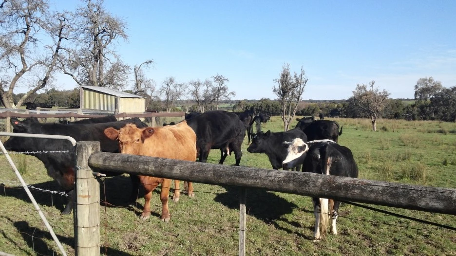 fullsizeoutput_37c8.jpeg?type=w1