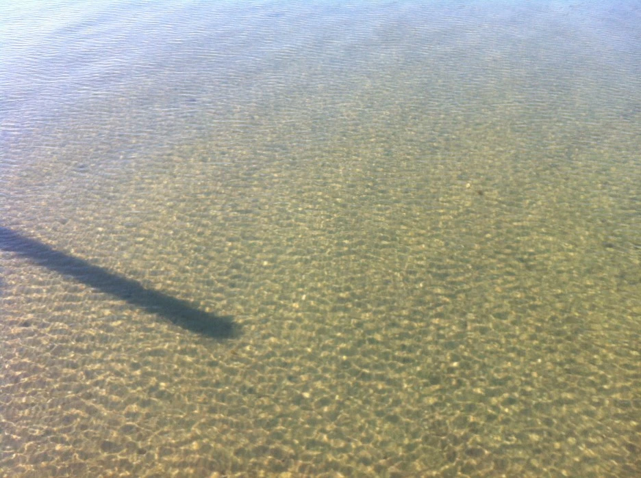 IMG_7576.JPG?type=w1