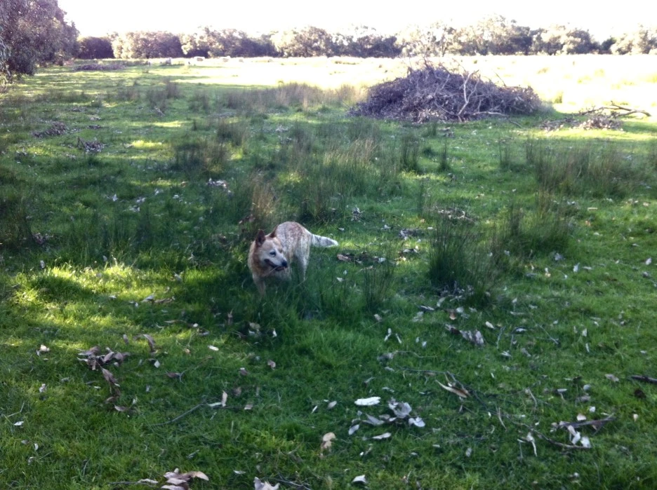 fullsizeoutput_37c5.jpeg?type=w1