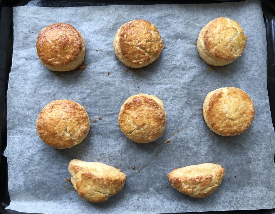 fullsizeoutput_37be.jpeg?type=w1