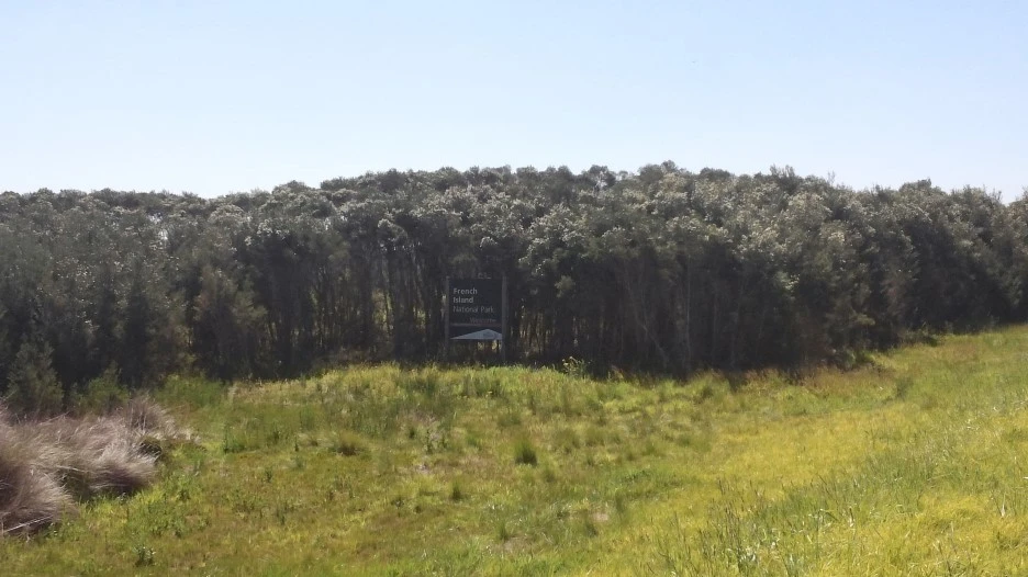 fullsizeoutput_37c1.jpeg?type=w1