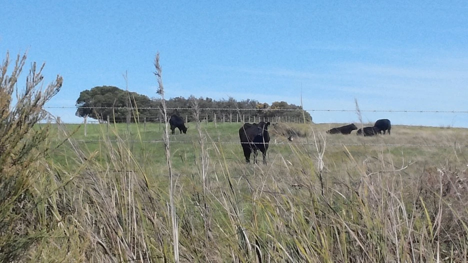 fullsizeoutput_37c2.jpeg?type=w1