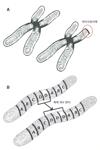 chromosome_variation_asd.PNG