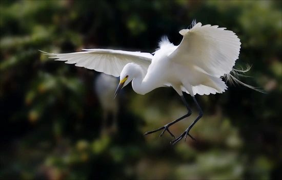 %B9%E9%B7%CE8.jpg?type=w3