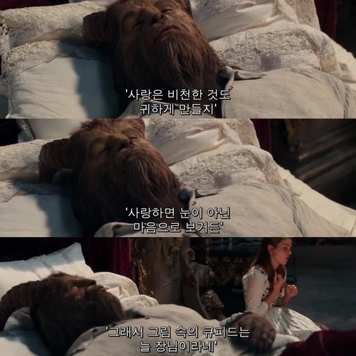 미녀와야수3.jfif
