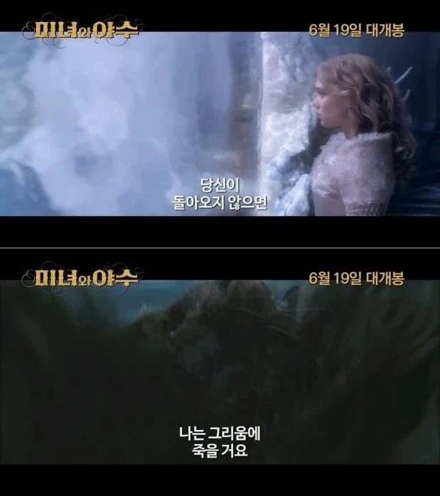 미녀와야수7.jfif