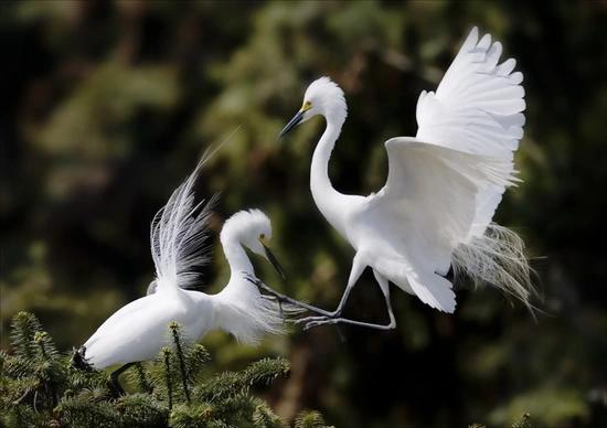 %B9%E9%B7%CE6.jpg?type=w3