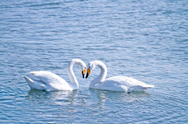 ?src=http%3A%2F%2Fblogfiles.naver.net%2FMjAyMzA1MDlfMTM0%2FMDAxNjgzNjEyNTQ4NzQy.UJAsisLOVG_FS6bca3VGRM3e0iZoTNLlwOoS_7Mt9sYg.fnpxgCZPLZOd2foWCMx156XaowI8htT2TlolKPJwSfwg.JPEG.tkaalsghh%2FCK_cm27014502.jpg&type=sc960_832