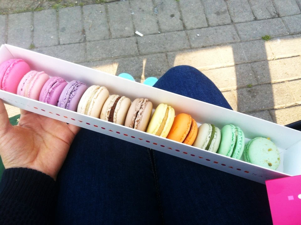 10334279_848770718466591_8177884889780155658_n 사본.PNG