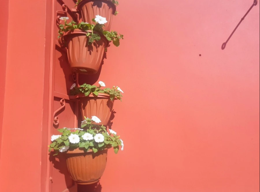 1538224131277.jpg?type=w1