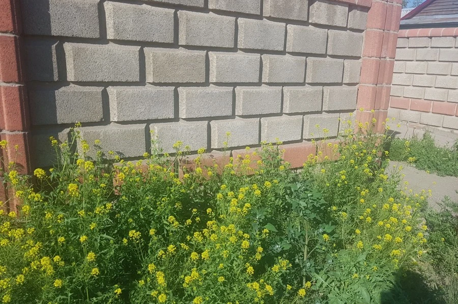 1538224098648.jpg?type=w1