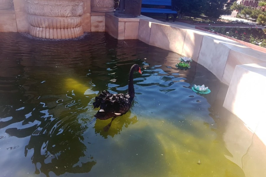 1538224102119.jpg?type=w1