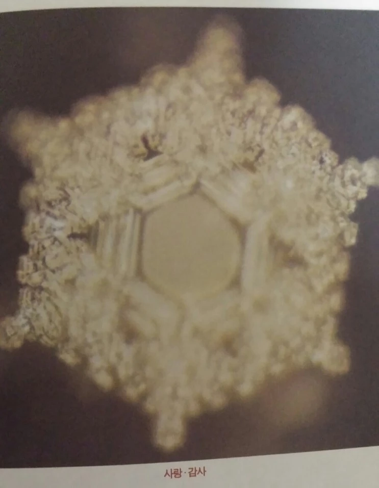 20160315_003745_edit.jpg?type=w2