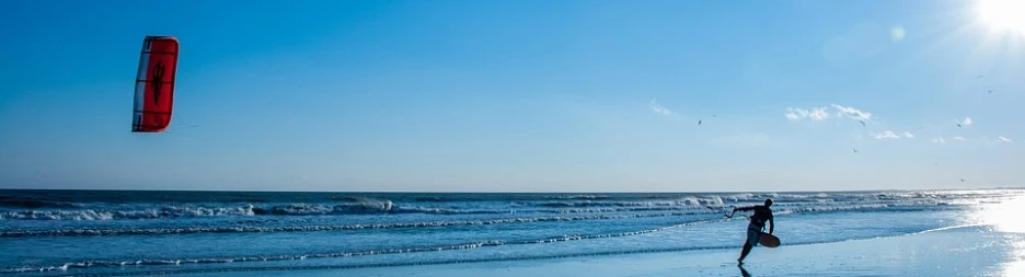 SE-8d18420d-5afb-4307-a3db-ccd7bde2adf7.jpg?type=w1