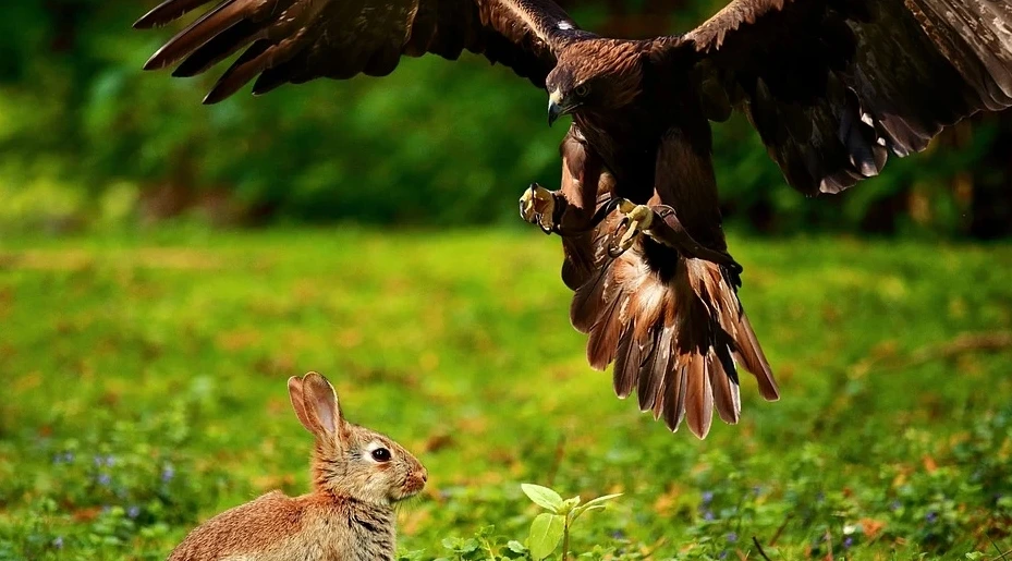 %EC%82%AC%EB%83%A52.jpg?type=w1