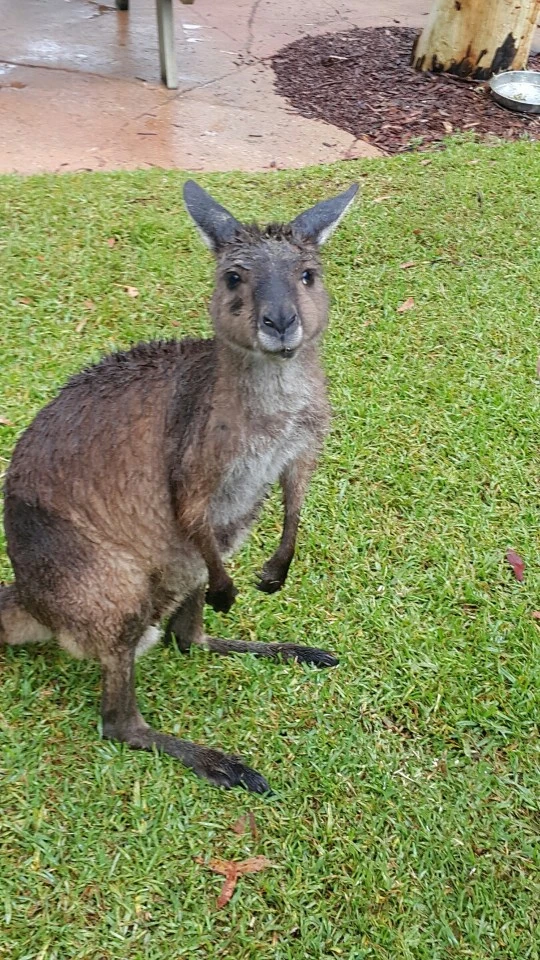 KakaoTalk_20191128_143053009_15.jpg?type=w1