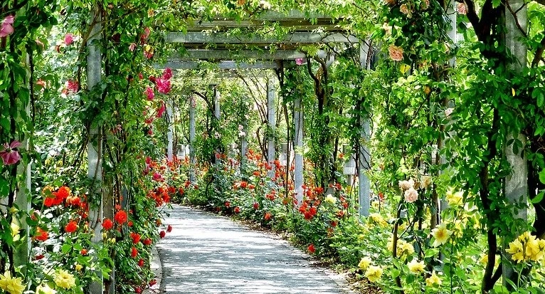 %EA%BD%831.jpg?type=w1