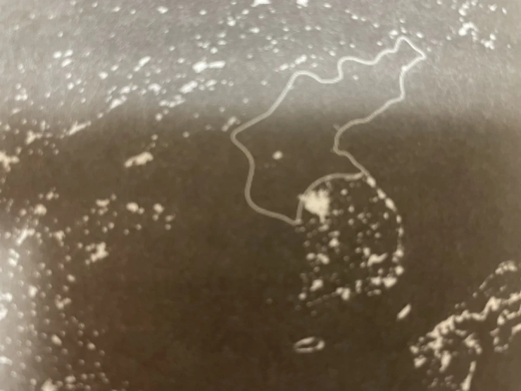 IMG_5092.jpg?type=w1