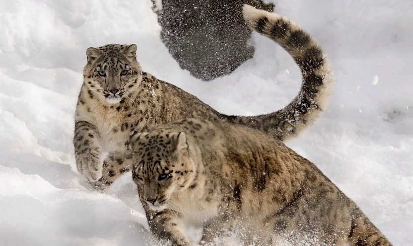 %EC%82%AC%EB%83%A53.jpg?type=w1