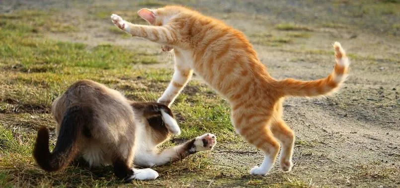 %EC%9D%B4%ED%98%BC56.JPG?type=w1