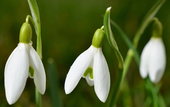 %EA%BD%835.jpg?type=w1