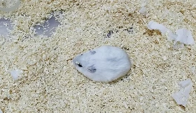 KakaoTalk_20160610_144027427.jpg?type=w1200