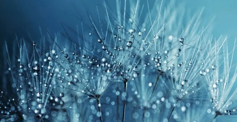 %EB%AC%BC3.JPG?type=w773