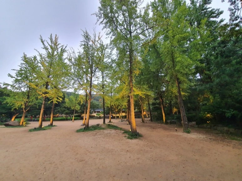 KakaoTalk_20191128_143251672_08.jpg?type=w773