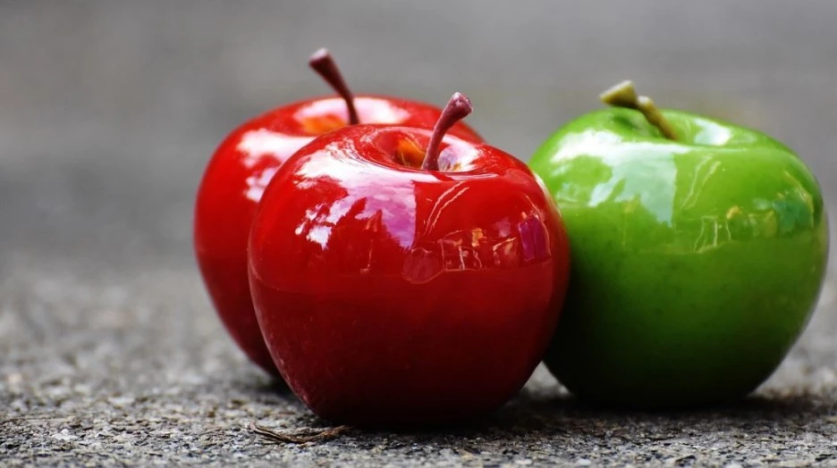 %EC%82%AC%EA%B4%802.JPG?type=w1