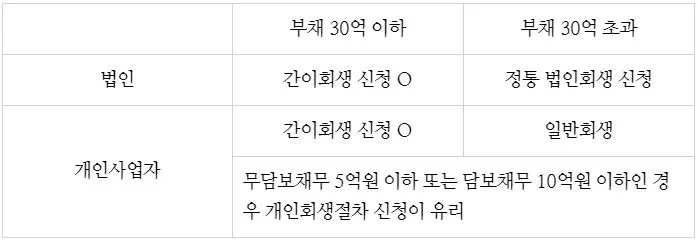 간이회생 신청1.JPG