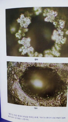 20160204_010510.jpg?type=w773