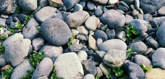 %ED%8E%AB%EC%8A%A4%ED%86%A42.jpg?type=w1