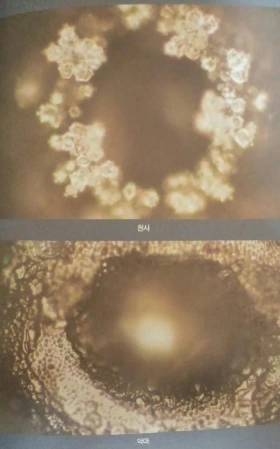 20160315_003632_edit.jpg?type=w2