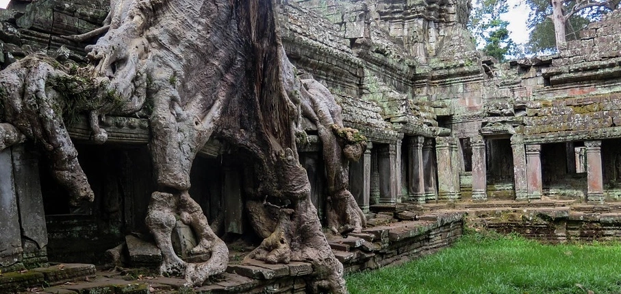 %EC%8B%A0%EC%A0%843.jpg?type=w1