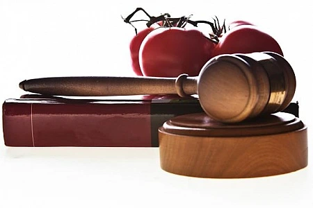 %EB%B2%95%EC%A0%84%EA%B3%BC%ED%8C%90%EC%82%AC%EB%B4%89.jpg?type=w773