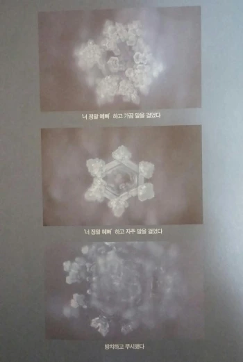 20160315_003553_edit.jpg?type=w2