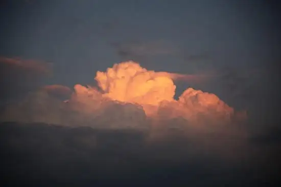 %C5%A9%B1%E2%BA%AF%C8%AF_IMG_1192.JPG?type=w3