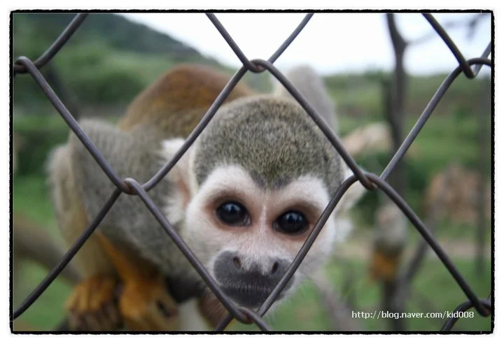 199268_1609091192186_6135088_n.jpg?zoom=0.8999999761581421&resize=720%2C492