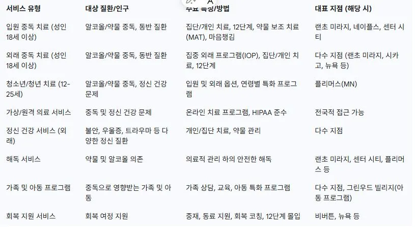 헤이즐넛 베티 포드 재단 서비스 및 프로그램 개요.JPG