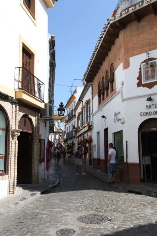 IMG_2602.JPG?type=w3